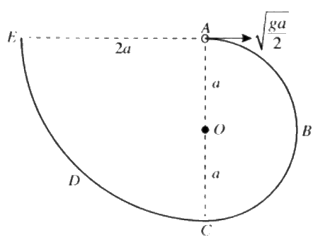 gce-al-mathematics-2020-applied-old-sinhala-12