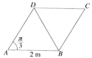 gce-al-mathematics-2020-applied-old-sinhala-14