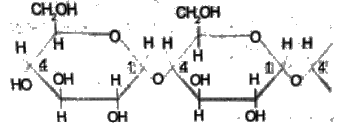 gce-al-biology-2013-mcq-sinhala-1