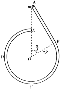 gce-al-mathematics-2019-new-applied-sinhala-2